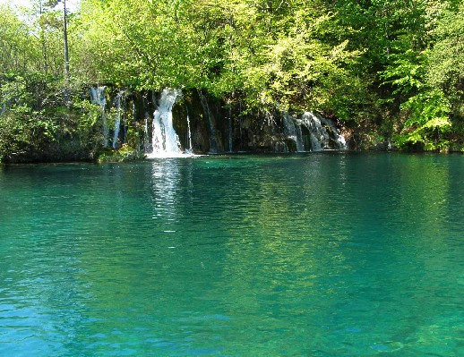c0051938_9201016.jpg