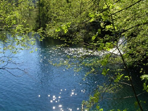 c0051938_9202451.jpg