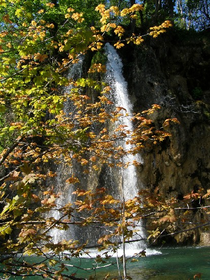 c0051938_9205290.jpg