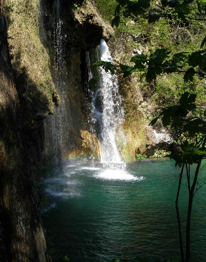 c0051938_921347.jpg
