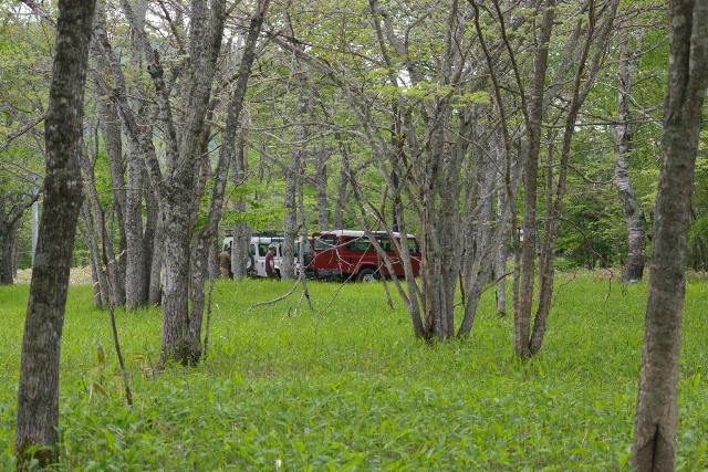 c0105338_17443818.jpg