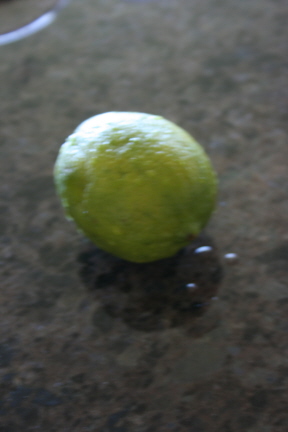 e0104941_5493714.jpg