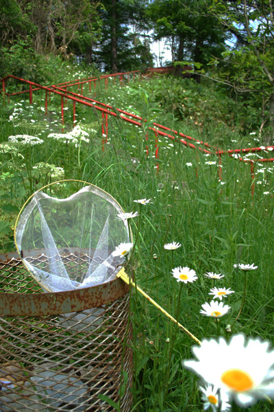 f0166545_2248120.jpg