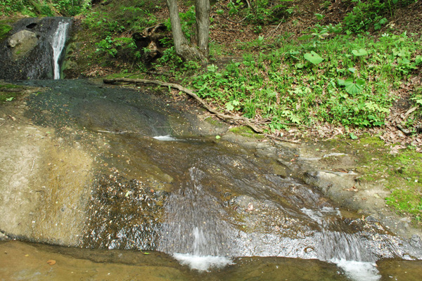 f0166545_22484872.jpg