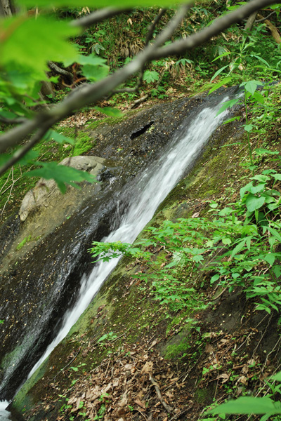 f0166545_22502670.jpg