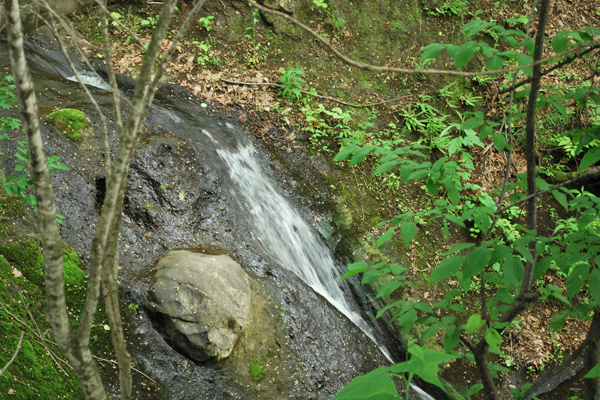 f0166545_22504931.jpg