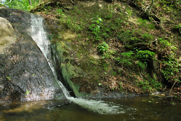 f0166545_2250665.jpg