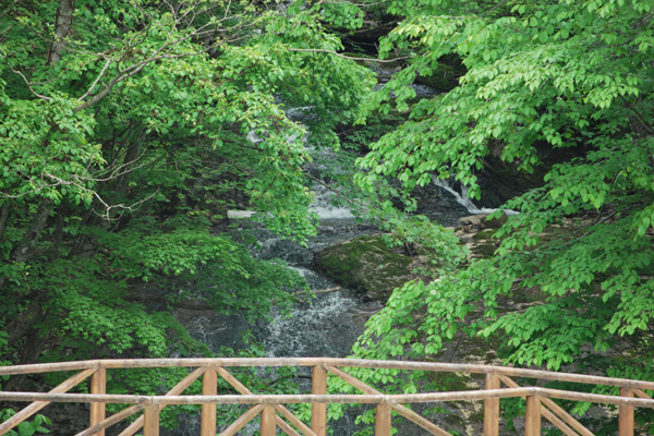 f0166545_2252088.jpg