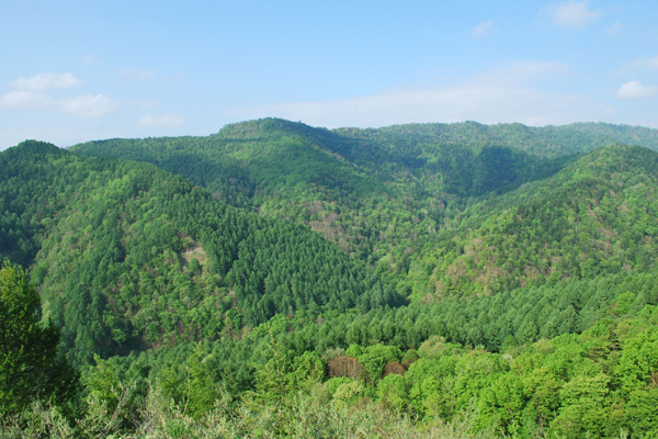 f0166545_22524976.jpg