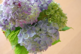 a0059846_22145066.jpg