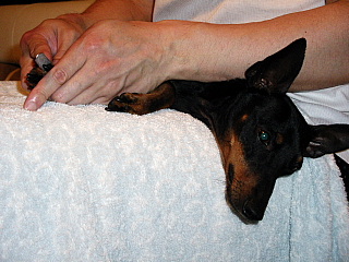 c0123149_23472684.jpg