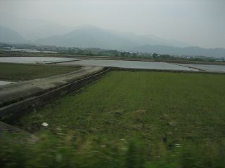 d0031853_3123790.jpg