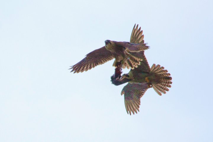 f0044056_14295022.jpg