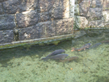 e0008880_21243729.jpg