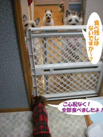 e0066883_2141065.gif