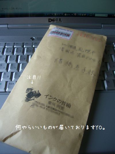 b0000885_6541722.jpg