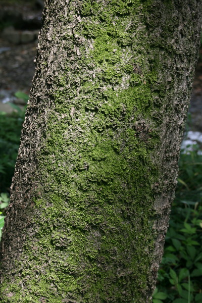 b0143686_21382127.jpg