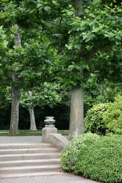 b0143686_214171.jpg