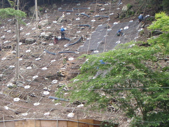 b0139489_21265516.jpg