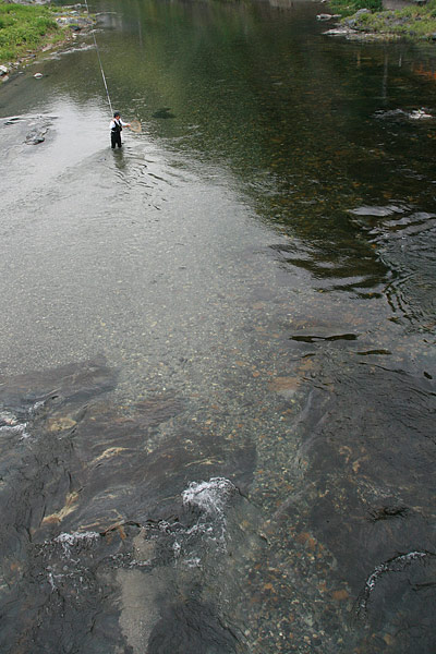 c0038290_7543123.jpg