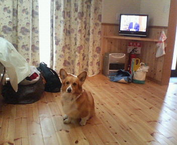 f0077097_22112932.jpg