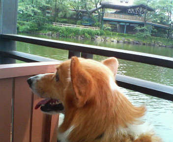 f0077097_2220117.jpg