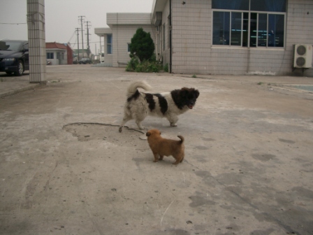 d0090300_19385397.jpg