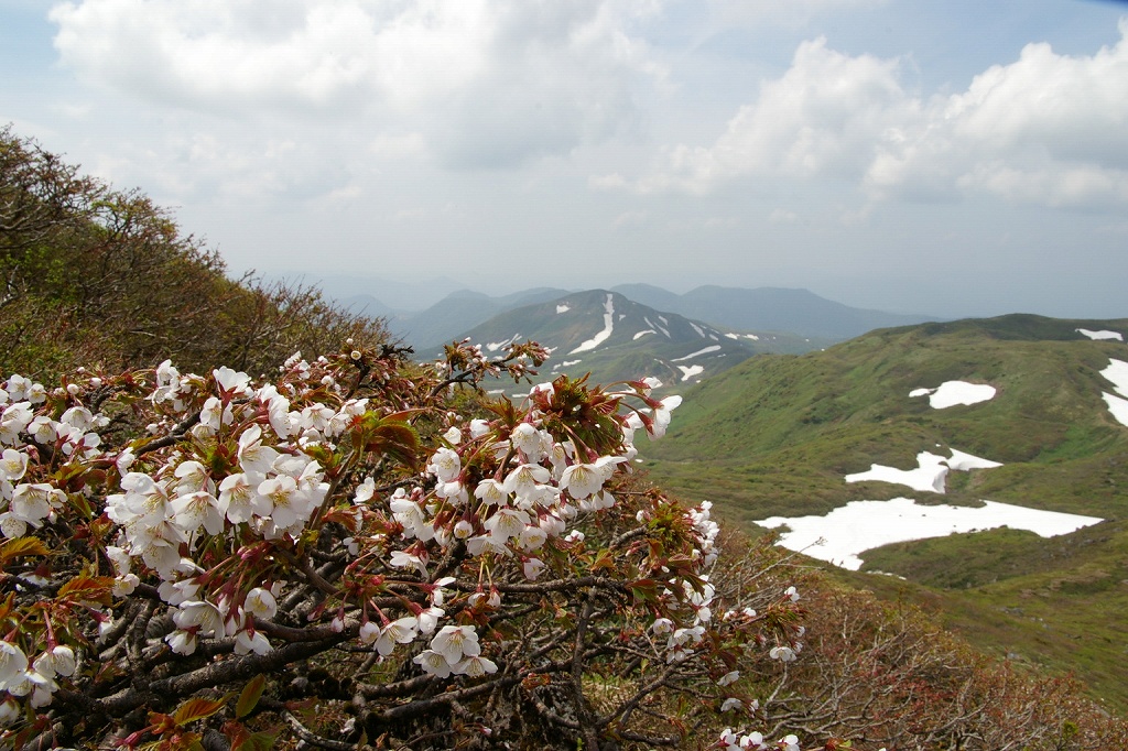 b0050305_23494938.jpg