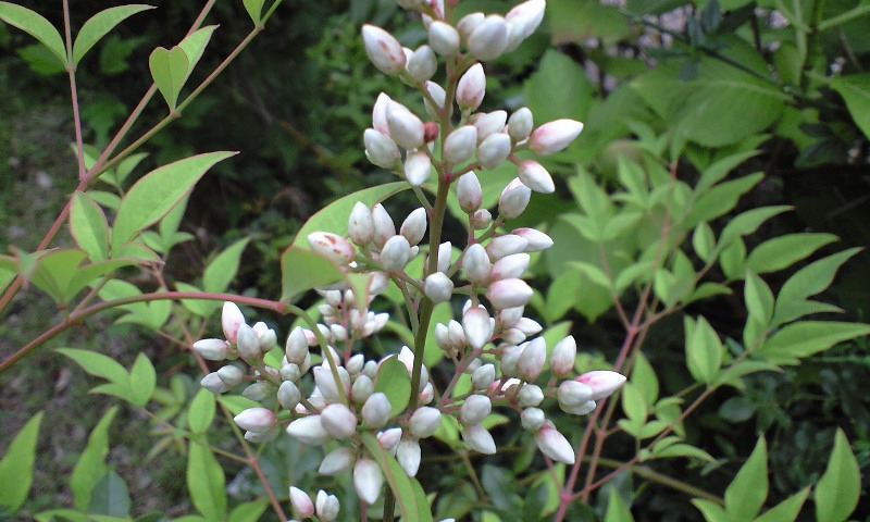 d0000607_12161659.jpg