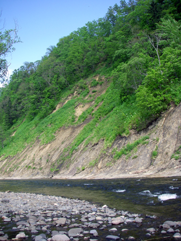 d0051707_433471.jpg