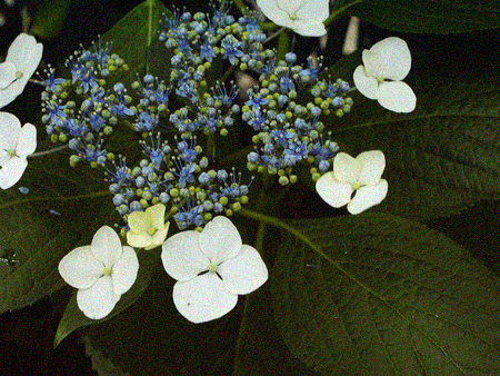 d0113613_13422367.jpg