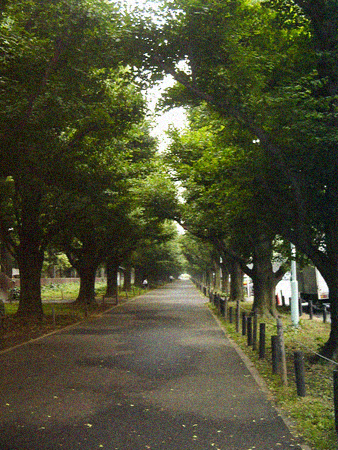 d0113613_13444983.jpg