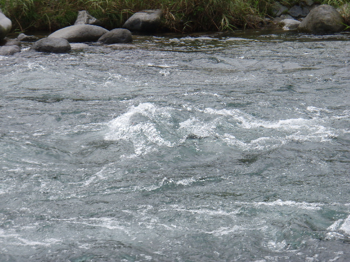 f0103126_21183395.jpg