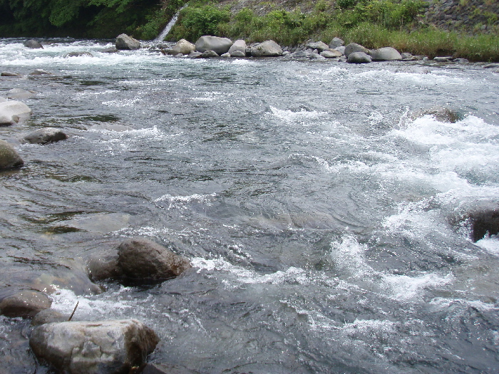 f0103126_21185715.jpg