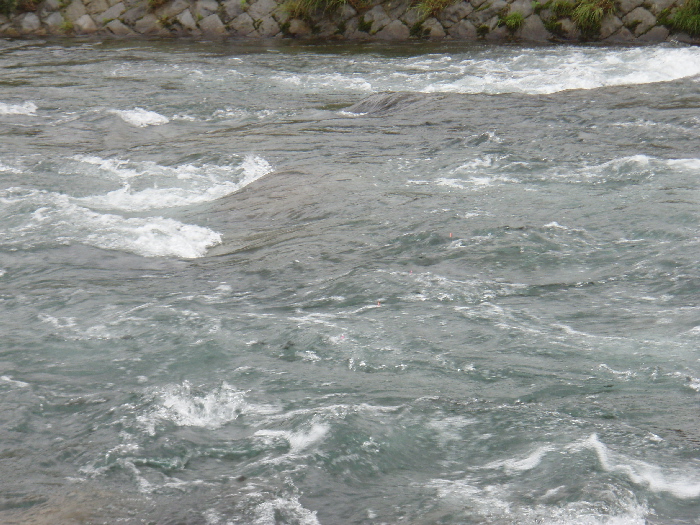 f0103126_21192013.jpg