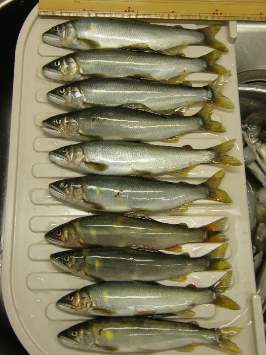 f0103126_21195622.jpg
