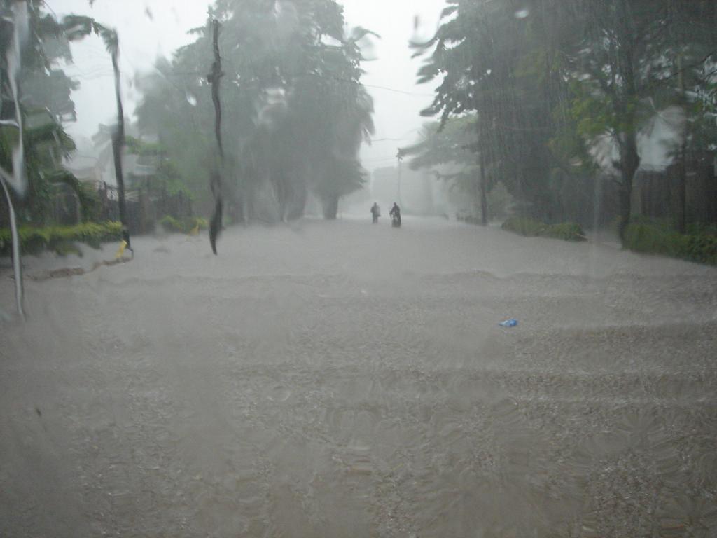 f0132327_6323677.jpg