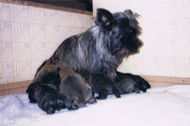 e0021328_0362597.jpg