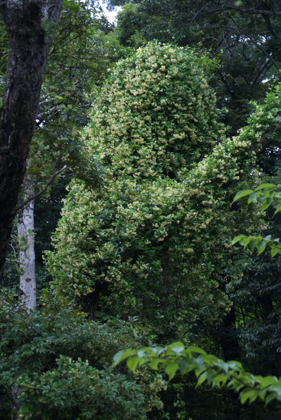 d0053930_6423452.jpg