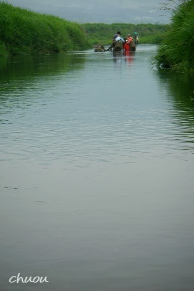 f0146531_231339.jpg