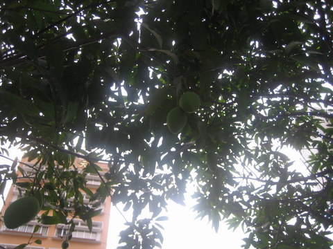 e0018143_17533626.jpg