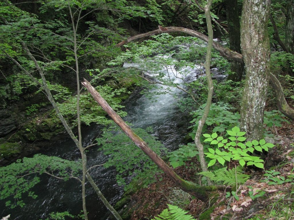 f0151044_10112182.jpg