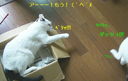 b0024945_1712275.jpg