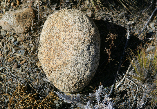 f0161647_10185891.jpg