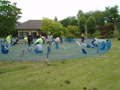 a0009750_1201521.jpg