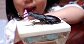 d0029958_19205810.jpg