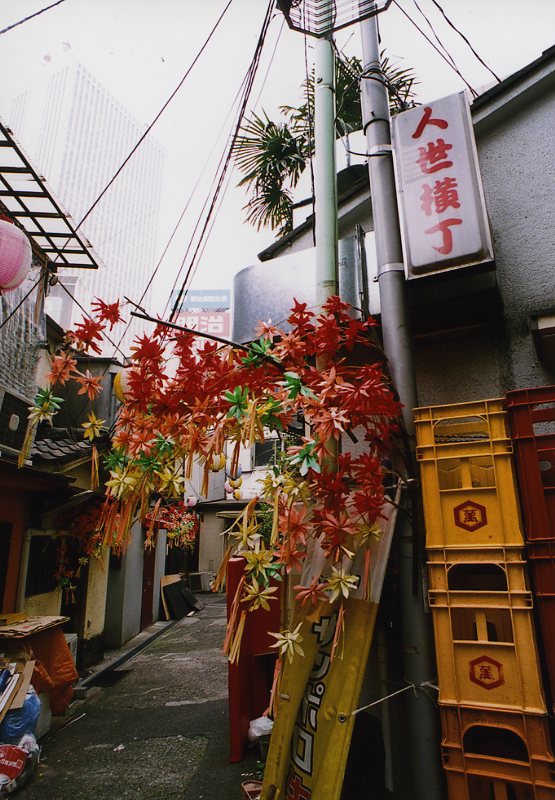 c0084666_21152021.jpg
