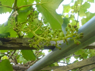 e0091468_23593060.jpg