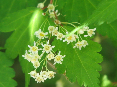 d0050472_13282940.jpg