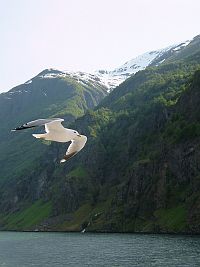 e0022175_2204219.jpg